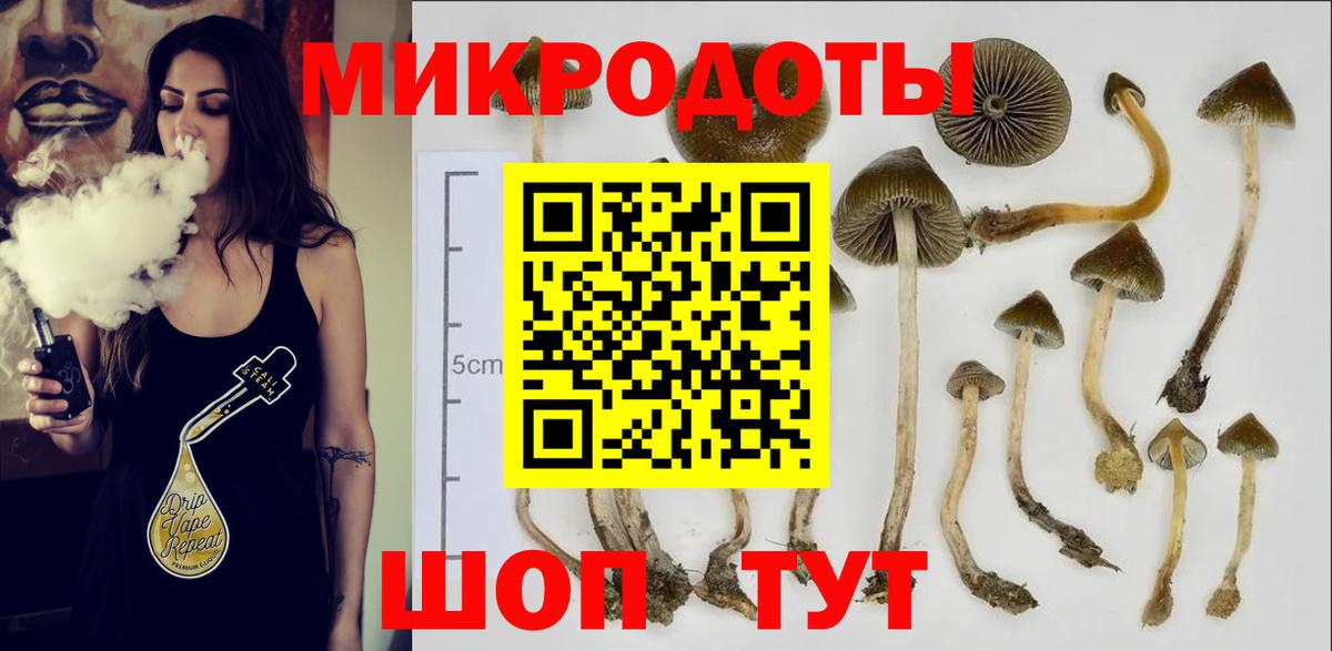 Галлюциногенные грибы ЛСД  Вход с VPN  Норильск  Галлюциногенные грибы прущие грибы 