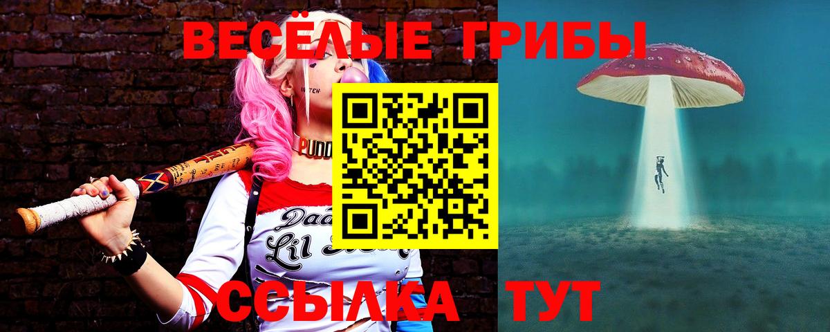 Галлюциногенные грибы прущие грибы Норильск